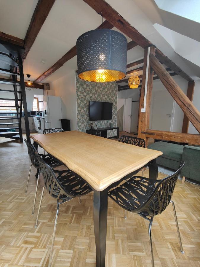 Appartement Le Baroque En Duplex Mulhouse Buitenkant foto