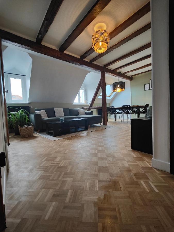 Appartement Le Baroque En Duplex Mulhouse Buitenkant foto