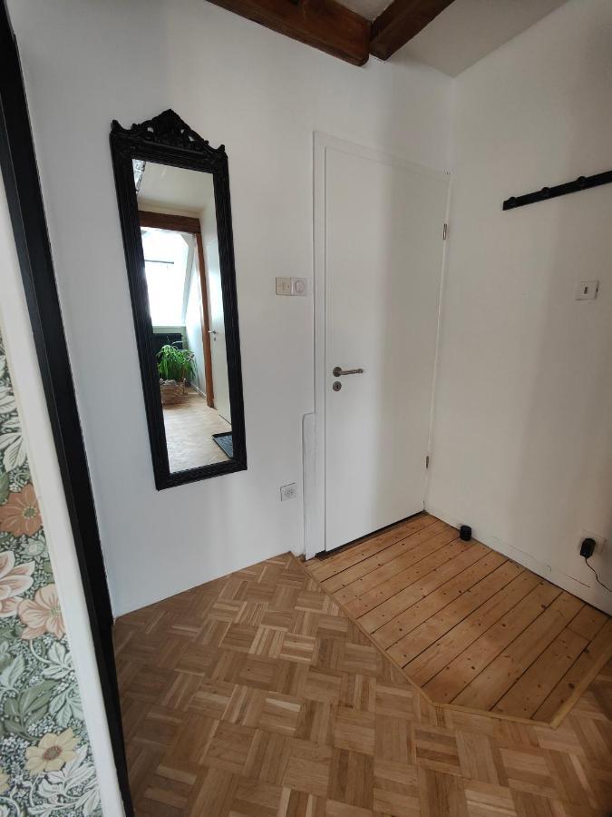 Appartement Le Baroque En Duplex Mulhouse Buitenkant foto